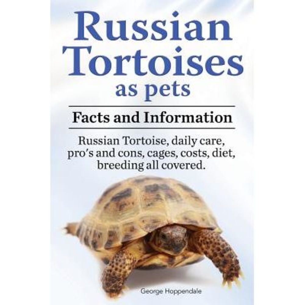 Russian Tortoises as Pets. Russian Tortoise facts and information. Russian torto